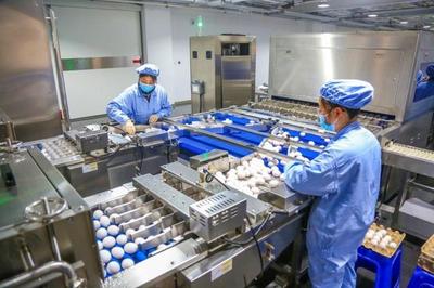 华兰生物董事长安康 研发不断前行，新型疫苗与生物制品蓄势待发