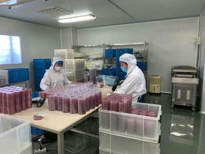 政策支持与精准服务 虹口区助力企业3天攻克病毒采样管研制难关