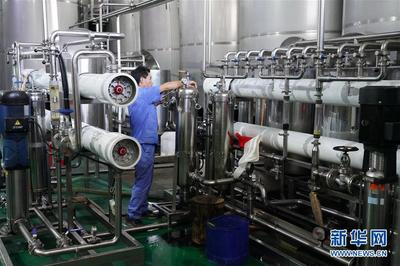 大污染变身“大宝藏” 畜禽粪污治理催生绿色产业新机遇