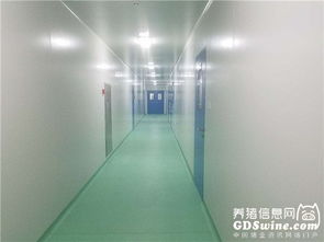 正业生物疫苗悬浮培养车间通过农业部GMP认证，引领生物制品产业新篇章