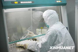 甲流疫苗批量启动 生物制品生产的新突破与公众健康保护网的构建